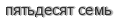[ captcha ]