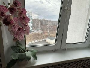 Двухкомнатная квартира, Челябинск, Курчатовский район, Александра Шмакова, д. 40