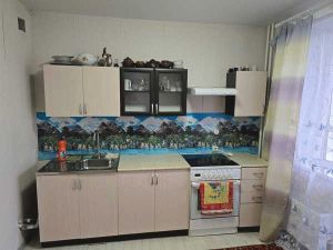 Сосновский, Белопольского, 8