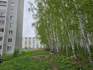 Однокомнатная квартира, п.Красное Поле, Сосновский район, Белопольского, д. 6