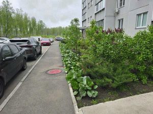 Однокомнатная квартира, п.Красное Поле, Сосновский район, Белопольского, д. 6