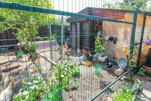 Дом, п.Кременкуль, Сосновский район