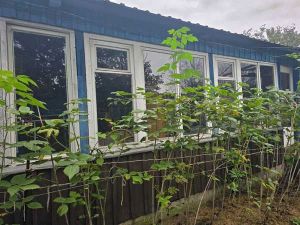 Дом, с.Губернское, Аргаяшский район