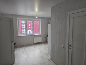 Однокомнатная квартира, Вишнёвая Горка, Сосновский район, Генерала Костицына, д. 15