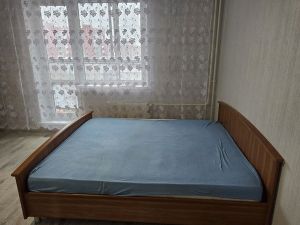 Однокомнатная квартира, Вишнёвая Горка, Сосновский район, Генерала Костицына, д. 15