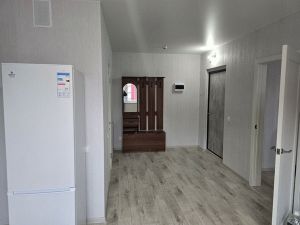 Однокомнатная квартира, Вишнёвая Горка, Сосновский район, Генерала Костицына, д. 15