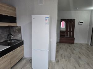 Однокомнатная квартира, Вишнёвая Горка, Сосновский район, Генерала Костицына, д. 15