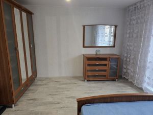 Однокомнатная квартира, Вишнёвая Горка, Сосновский район, Генерала Костицына, д. 15