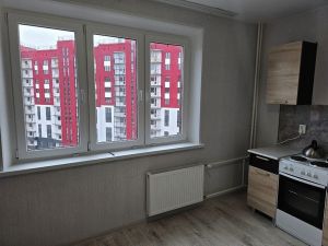 Однокомнатная квартира, Вишнёвая Горка, Сосновский район, Генерала Костицына, д. 15