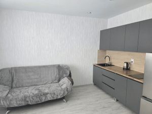 Однокомнатная квартира, Челябинск, Центральный район, Мечты, д. 19