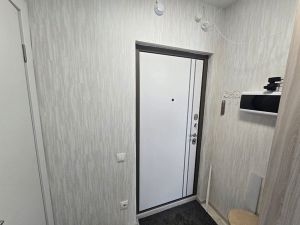 Однокомнатная квартира, Челябинск, Центральный район, Мечты, д. 19