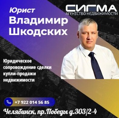 Владимир Шкодских